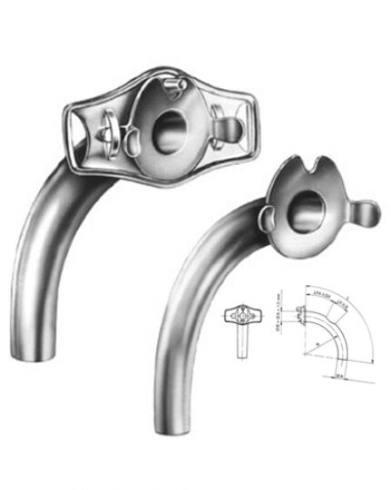 (19)